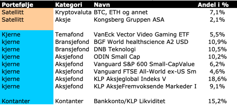 Her ser du hvordan Fuck You Money Porteføljen er satt sammen per januar 2023.